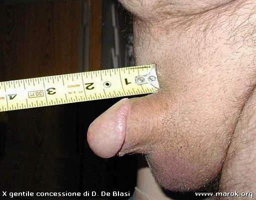 The average Asian penis is less than twice as big as this The average Asian penis is less than twice as big as this