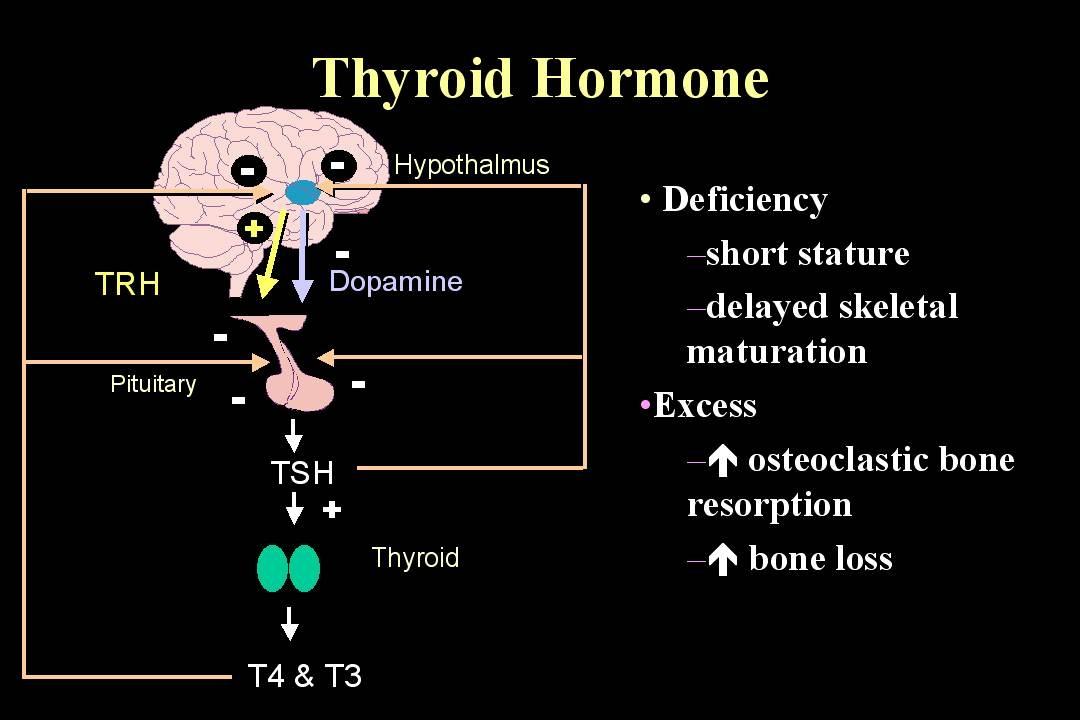 Symptoms Of Too Much Growth Hormone In Adults